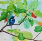 96 photo96_small.jpg